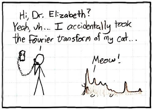 Fourier Cat