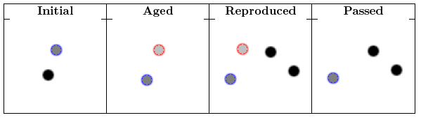 Reproduction cycle